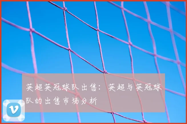 英超英冠球队出售:英超与英冠球队的出售市场分析