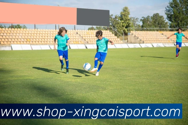 杏彩体育APP 封面图